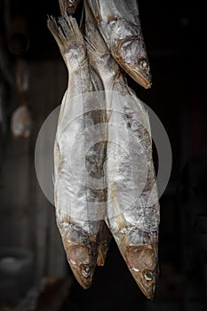Whole dried fish hanging for sale at a fish market in Ukraine