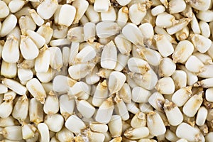 Whole Dried Hominy