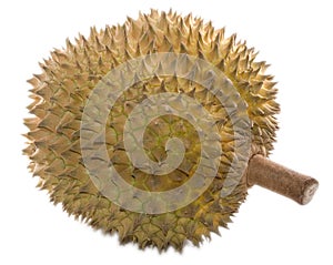 Whole Durian Isolated