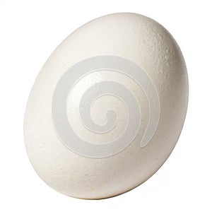 Egg isolated on white background