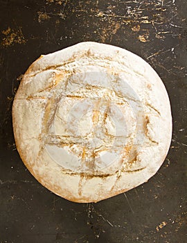 A whole English boule bread on distressed baking sheet photo