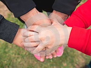 Whole family holding hands, family bond concept