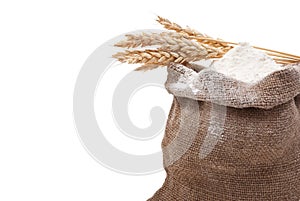 Whole flour with wheat ears