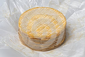 Whole French Livarot cheese close up