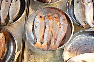 Whole fresh fishes are offered
