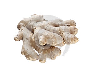 Whole fresh ginger root isolated on white