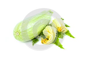 Whole fresh green zucchini or courgettes with yellow edible flower and leaf, object isolated on white background