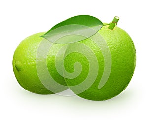 Whole fresh lime fruit with green leaf next to lying