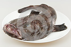 Whole fresh Monkfish