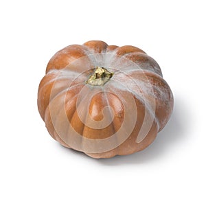 Whole fresh Moschata pumpkin