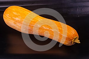 Whole fresh orange big pumpkin on black background, closeup. Organic agricultural product, ingredients for cooking