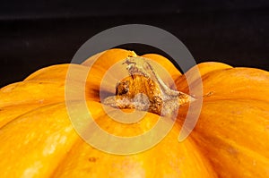 Whole fresh orange big pumpkin on black background, closeup. Organic agricultural product, ingredients for cooking