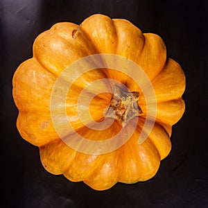 Whole fresh orange big pumpkin on black background, closeup. Organic agricultural product, ingredients for cooking