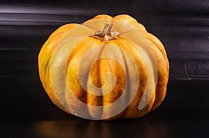 Whole fresh orange big pumpkin on black background, closeup. Organic agricultural product, ingredients for cooking