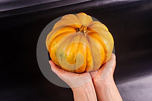 Whole fresh orange big pumpkin in female hands on black background, closeup. Organic agricultural product, ingredients