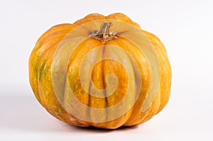 Whole fresh orange big pumpkin on white background, closeup. Organic agricultural product, ingredients for cooking