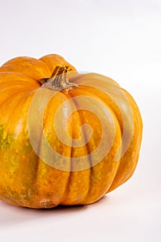 Whole fresh orange big pumpkin on white background, closeup. Organic agricultural product, ingredients for cooking