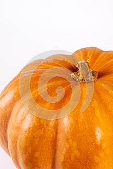 Whole fresh orange big pumpkin on white background, closeup. Organic agricultural product, ingredients for cooking