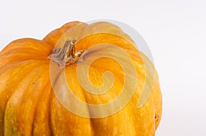 Whole fresh orange big pumpkin on white background, closeup. Organic agricultural product, ingredients for cooking