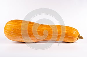 Whole fresh orange big pumpkin on white background, closeup. Organic agricultural product, ingredients for cooking