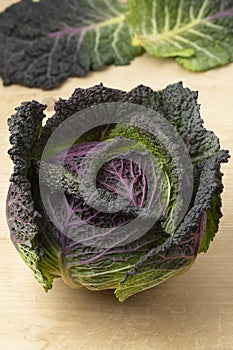 Whole fresh raw Pontoise cabbage close up