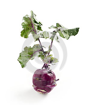 Whole fresh red kohlrabi