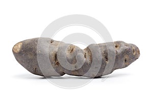 Whole fresh Vitelotte noir potato