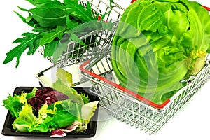 Whole fresh white cabbage with green heap fresh salad leaves, arugula in metal trolley on white background