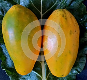 Whole fruit papayas on natural green leaf background. Organic food. Organic Fruits.