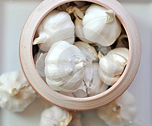 Whole Garlic