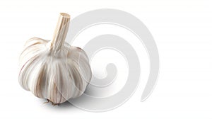 A whole garlic bulb with a long stem, displaying its smooth, papery white and purple-tinged skin photo