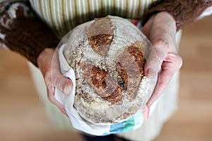 Whole-grain artisan bread loaf in grandmother hands, baking