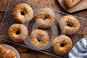 Whole Grain Bagels