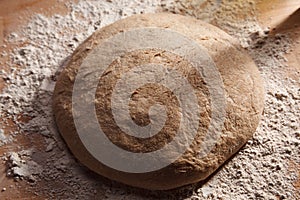 Whole grain bread dough