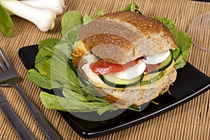 Whole-grain bread sandwich
