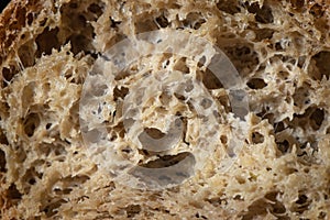 Whole grain bread texture background