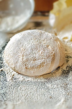 Whole Grain Flour Dough