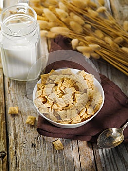 Whole grain quick breakfast - crispy cereal pads, milk and a bunch of cereals on a wooden background. Solar lighting. Quick