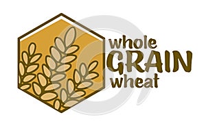 Whole grain wheat, agriculture logo icon vector