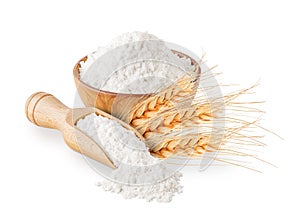 Whole grain wheat flour and ears isolated on white