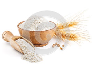 Whole grain wheat flour and ears isolated on white photo