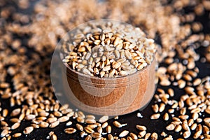 Whole grain wheat flour isolated.
