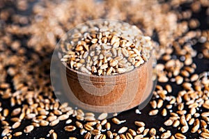 Whole grain wheat flour isolated.