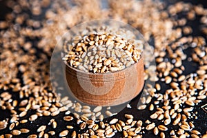 Whole grain wheat flour isolated.