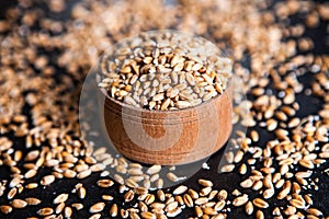 Whole grain wheat flour isolated.