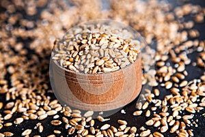 Whole grain wheat flour isolated.