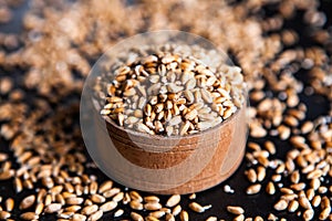 Whole grain wheat flour isolated.