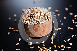 Whole grain wheat flour isolated.