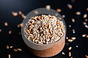 Whole grain wheat flour isolated.