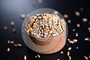 Whole grain wheat flour isolated.